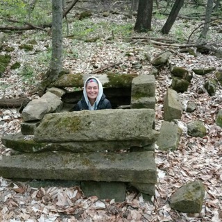 Лягушка Путешественница