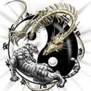 В прекрасном и яростном мире