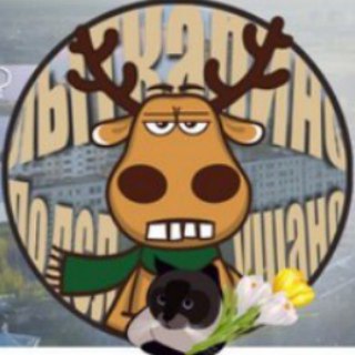 Лыткарино подслушано