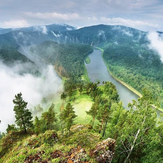 Манская петля