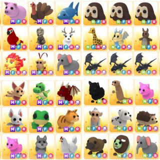 ПЕТЫ ОТ МАШКИ