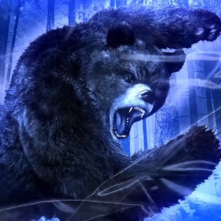 Buriy Medved🐻 info