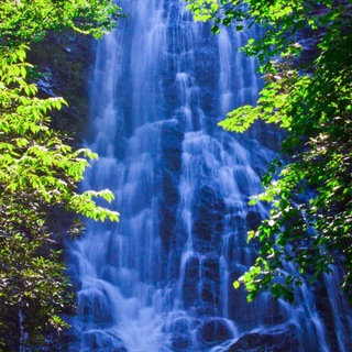 Представьте, люди