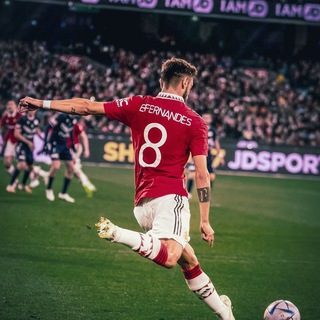 Магнифико Бруно