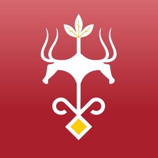 Администрация Майкопа | НОВОСТИ