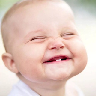 МЕТРИКА | ГРЫЗУНКИ | ИДЕИ | ПОДЕЛКИ