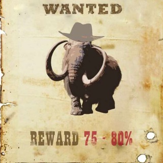 Мамонт в крипте 🦣