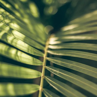 Сестра Мари