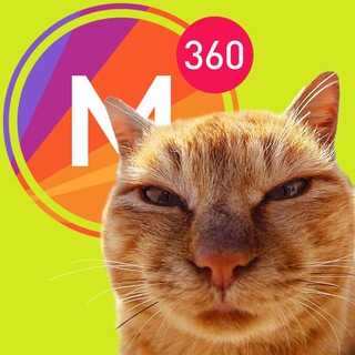 Привет, где заявки? | M360