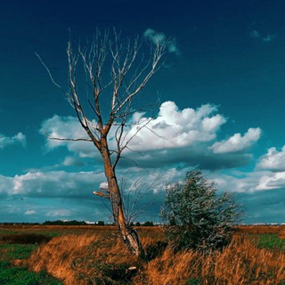 Martin Ice's Photo Gallery