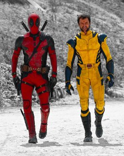 Marvel / DC: Geek Movies