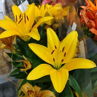 Открытки и поздравления Marvin Day