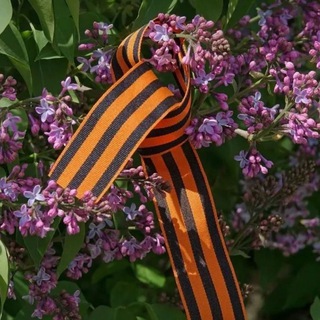 Русская медведица 🇷🇺 Марьяна