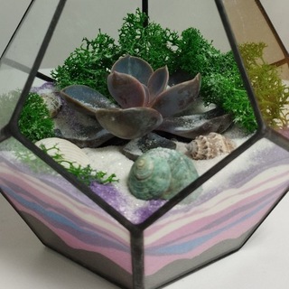 Мастер-класс по созданию флорариума в Москве