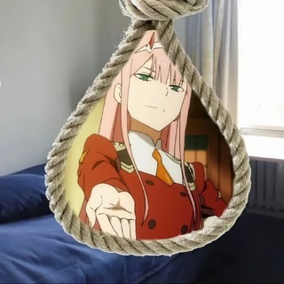 Спонсор моего суицида, мемы