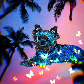 ♡ Хаус пересылок ♡