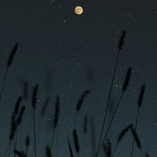 мысли начинающего блогера