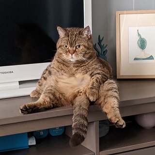 𝓷𝓮 𝓚𝓸𝓹𝓮𝓷𝓰𝓪𝓰𝓮𝓷*