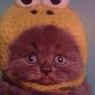 ⛲️императорское ложе⛲️