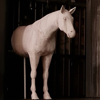 Жизнь и мнения Галушки Немазанной