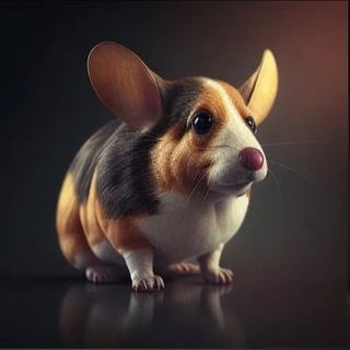 Немного твич