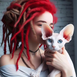 Светлана и кот про налоги