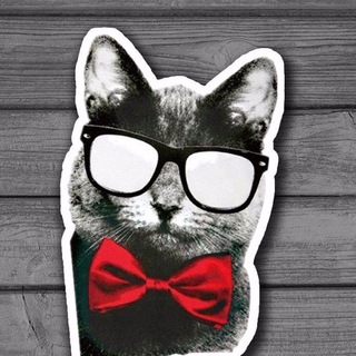 Невыносимый Кот©