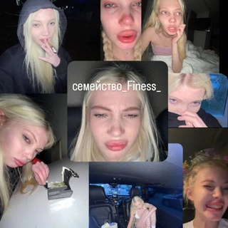 Семейство Finess🌲