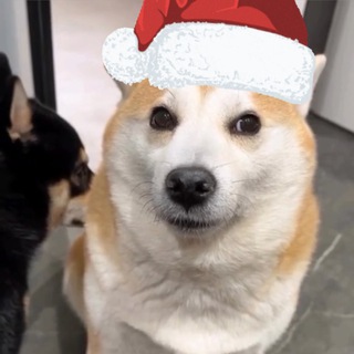 спецприёмник