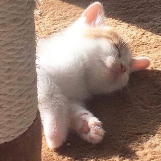 незамысловатый канал