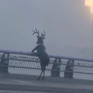 философия кринжа 💨