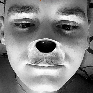 ЛИСЬЯ НОРА 🦊