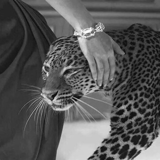 мαуѕѕσυℓℓ