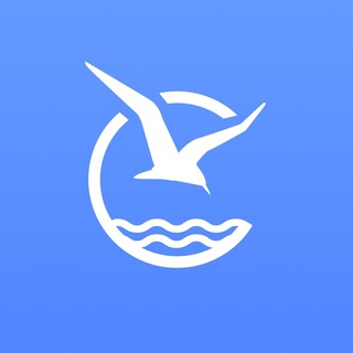 Круизы и Путешествия|Отдыхаем в круизе