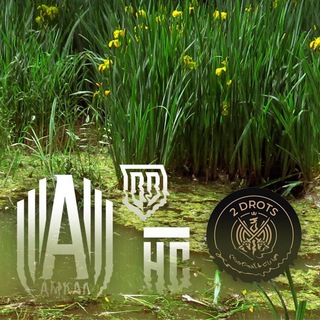 Медиафутбольная тина