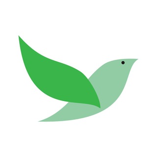 Зелёный вектор