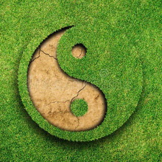 Медитации онлайн 🧘