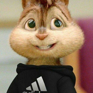 Бурундук Келвин🙈