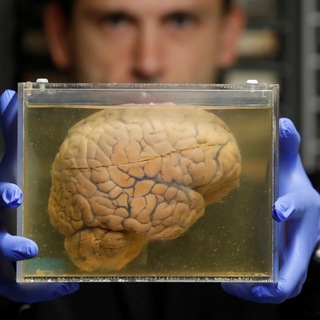 ОБЛАСТИ ТЬМЫ