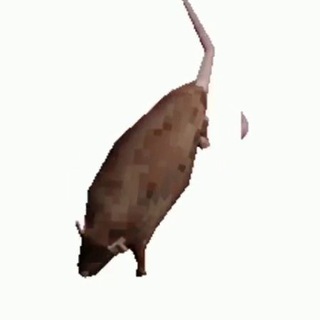 пробел наших секондов