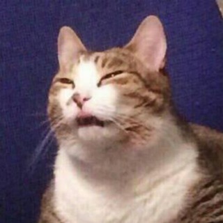 Мемный анклав