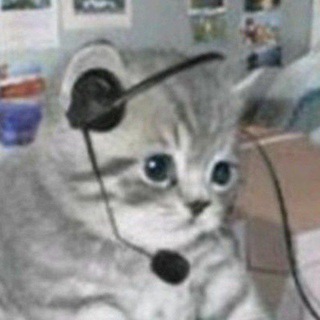 хорошие мемы