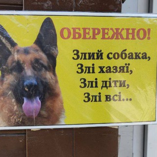 Меми тотальної війни #КНПУ