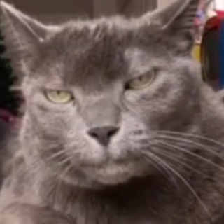 ЛØHГ TЁPM PĘÇËЧ