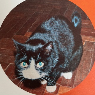 мемный канал