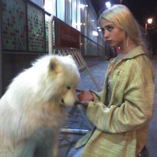 мемы ролок.