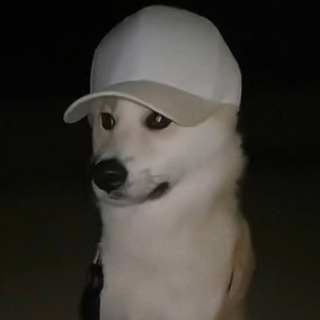 Привет, я Саша