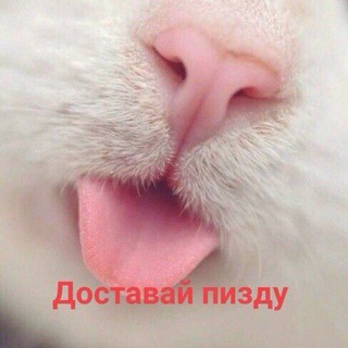 мемята с нашего двора