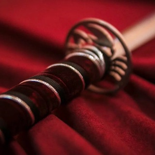 Мужчины из стали и бархата