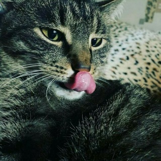 Mentalio: Логика рынков